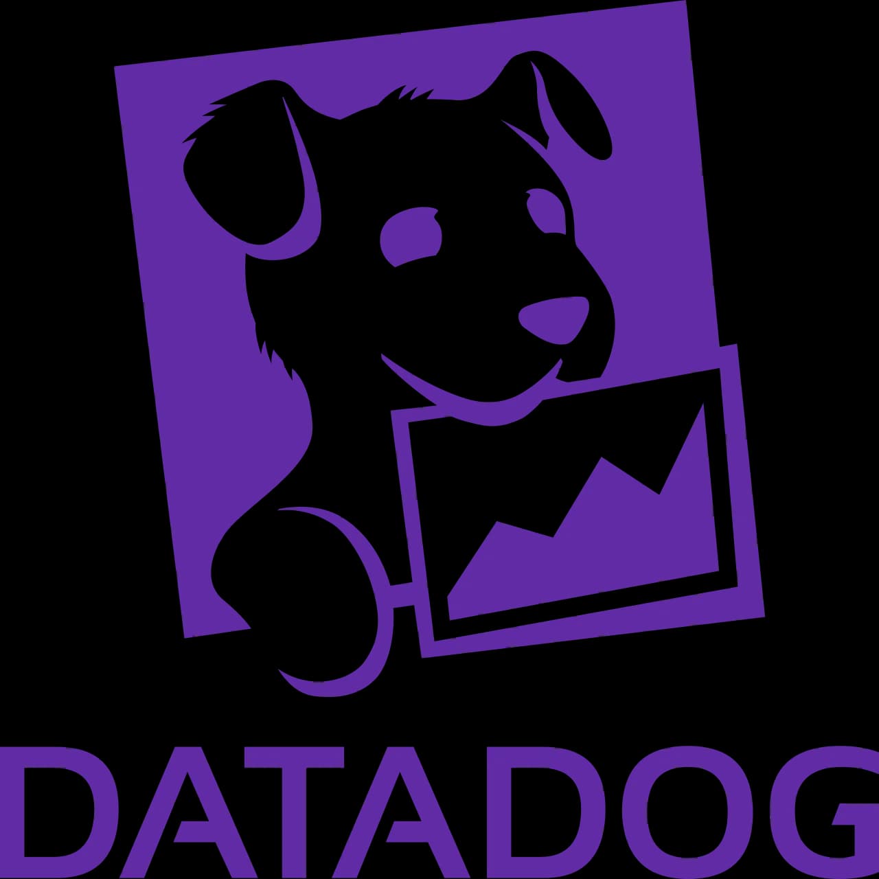Обзор и отзывы про Datadog