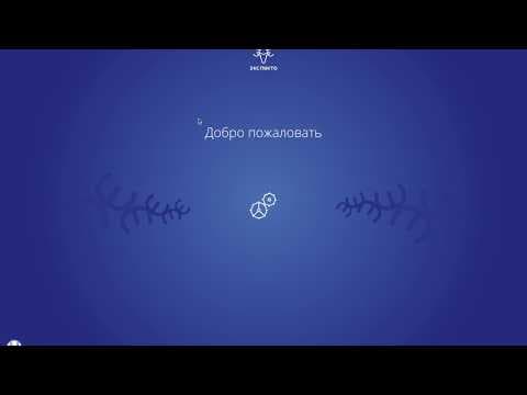 Expecto.me — обзор и отзыв о сервисе сквозной аналитики