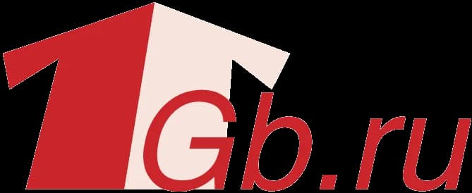 Обзор и отзывы про 1Gb.ru