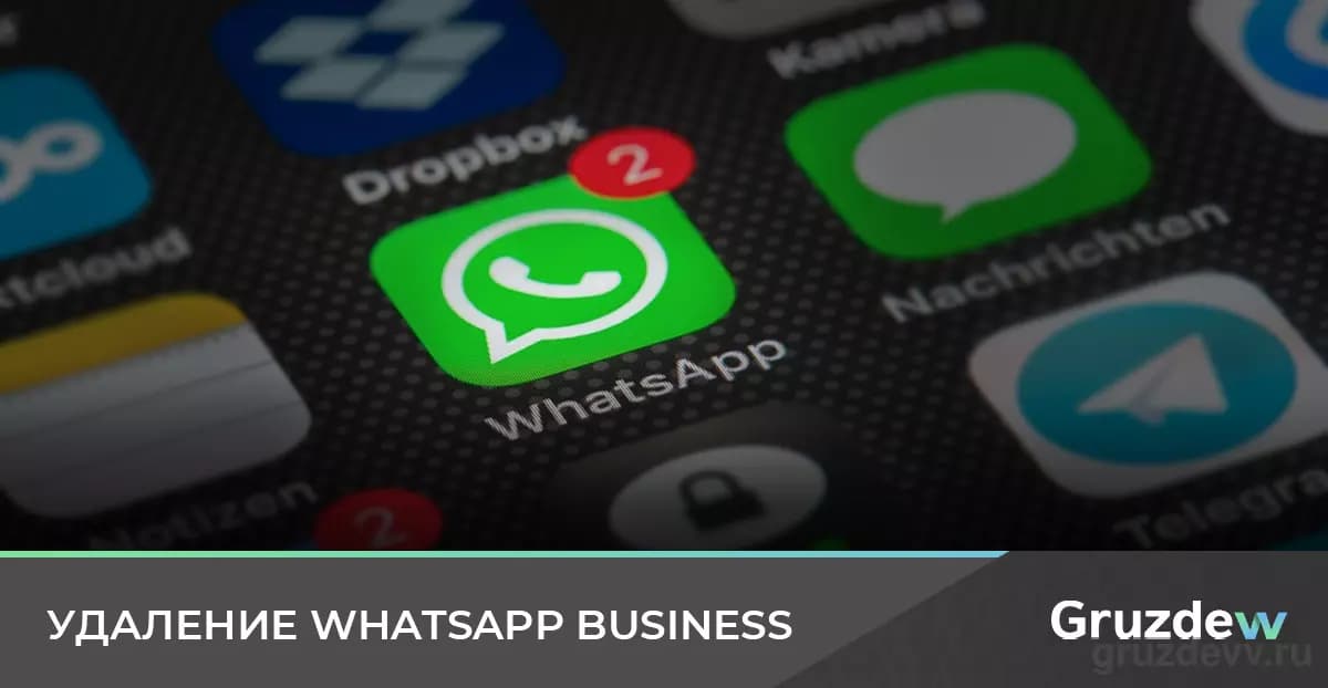 Как удалить WhatsApp Business, не потеряв данные с телефона